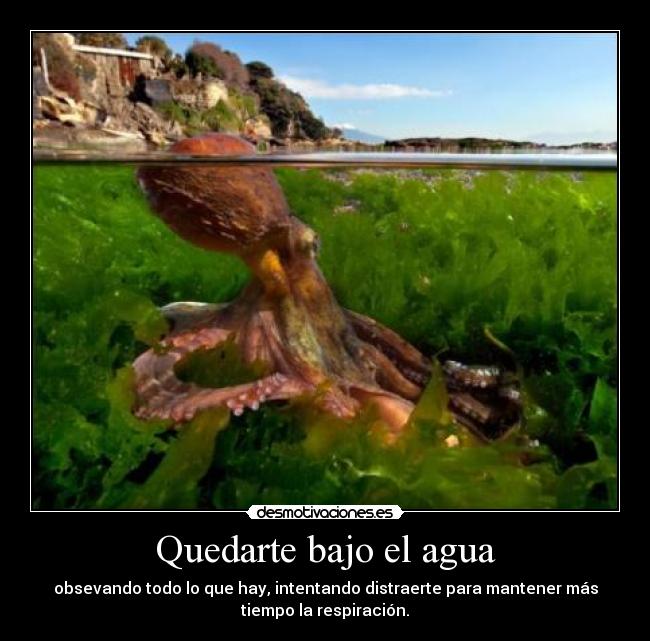 Quedarte bajo el agua -