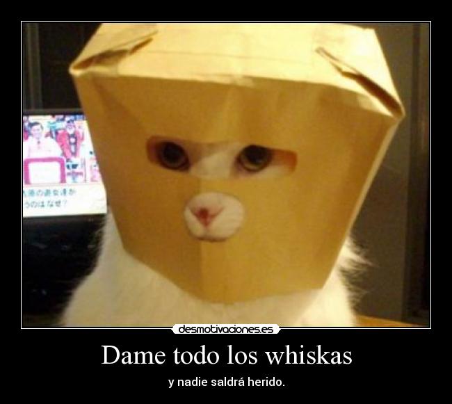 Dame todo los whiskas -