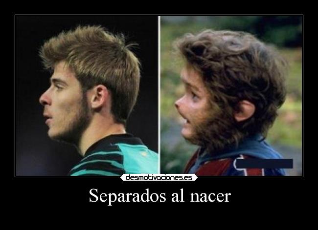 Separados al nacer -