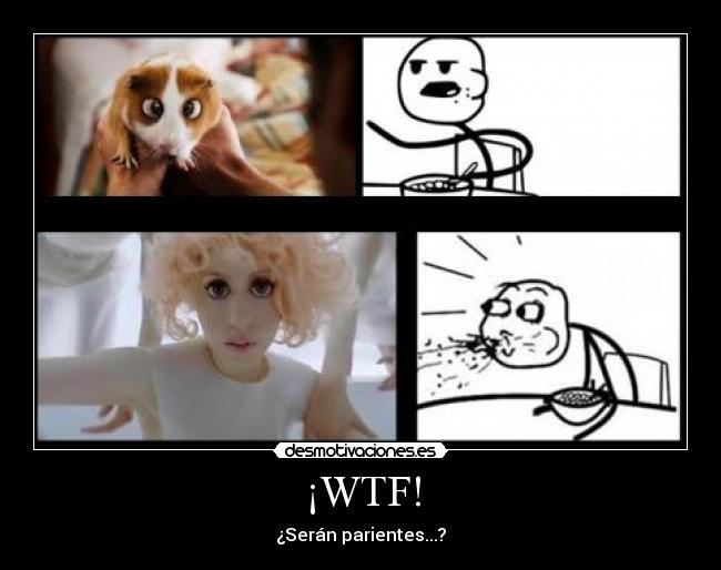 ¡WTF! - ¿Serán parientes...?