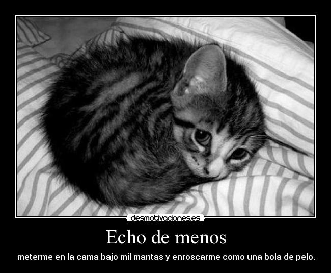 Echo de menos - meterme en la cama bajo mil mantas y enroscarme como una bola de pelo.