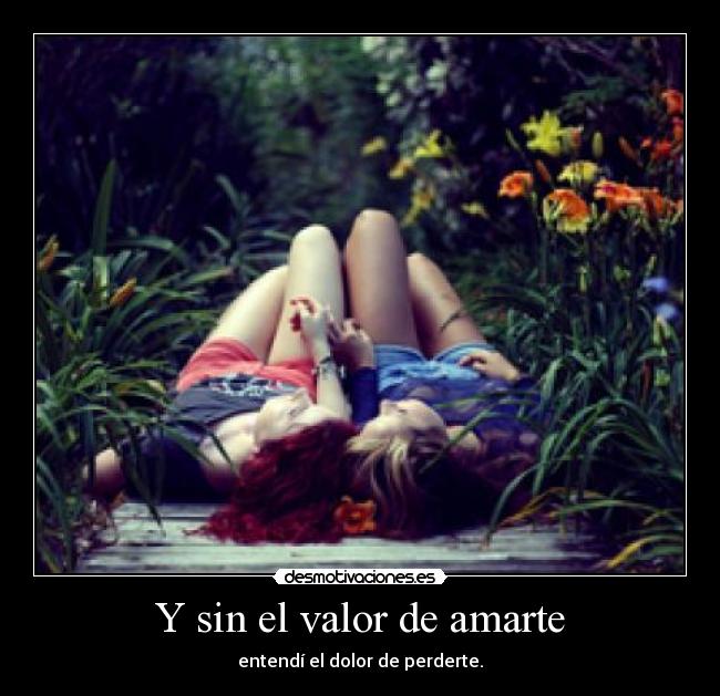 Y sin el valor de amarte - entendí el dolor de perderte.