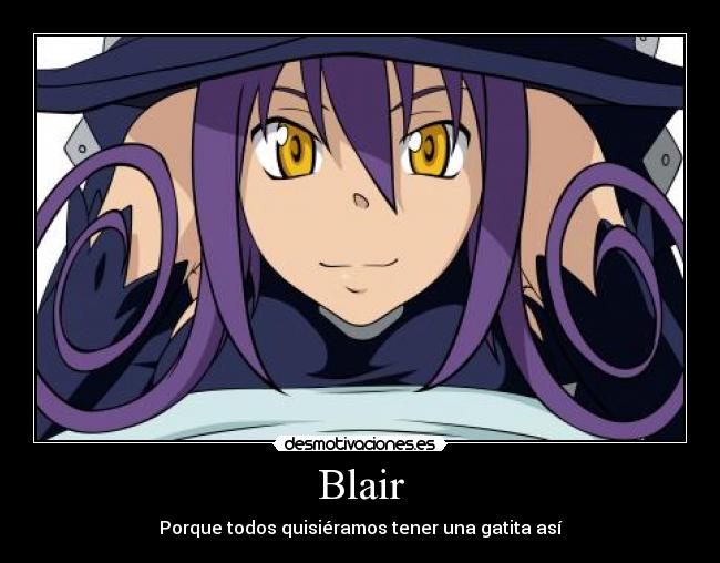 Blair - Porque todos quisiéramos tener una gatita así