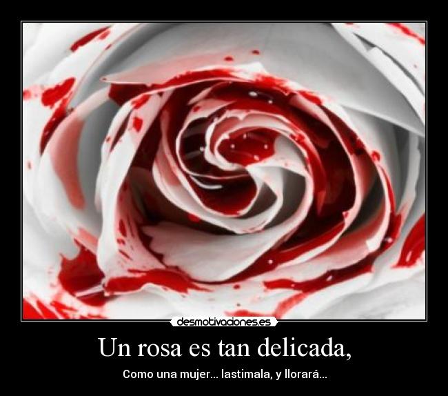 Un rosa es tan delicada, - Como una mujer... lastimala, y llorará...