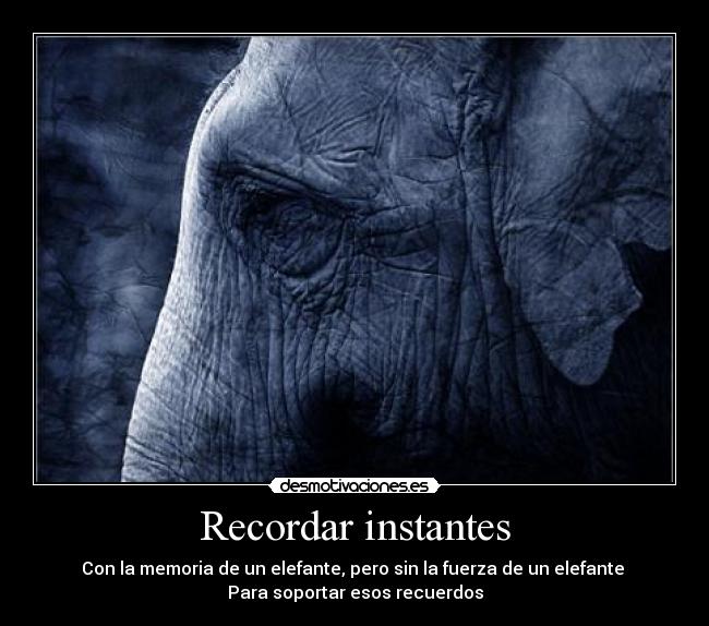 Recordar instantes - Con la memoria de un elefante, pero sin la fuerza de un elefante 
Para soportar esos recuerdos