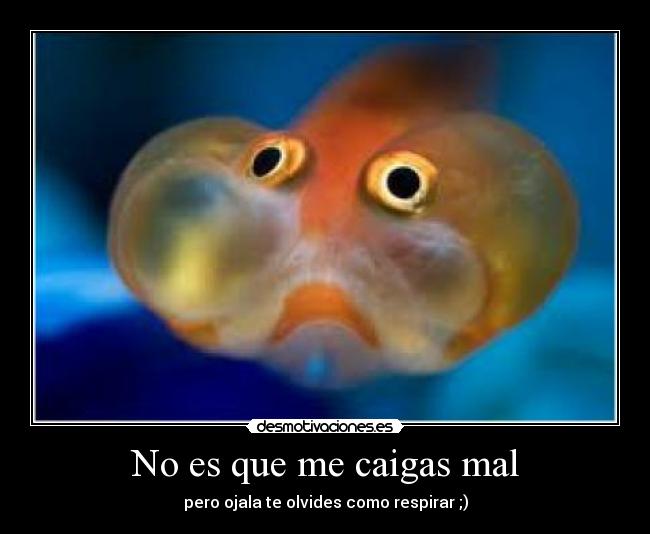 No es que me caigas mal - pero ojala te olvides como respirar ;)