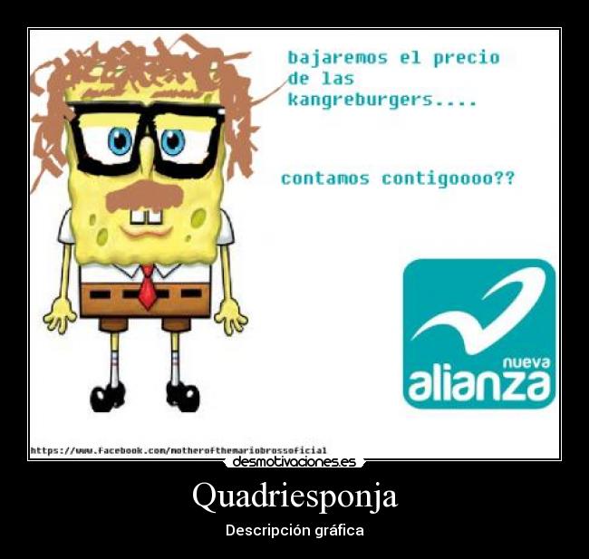 Quadriesponja - Descripción gráfica