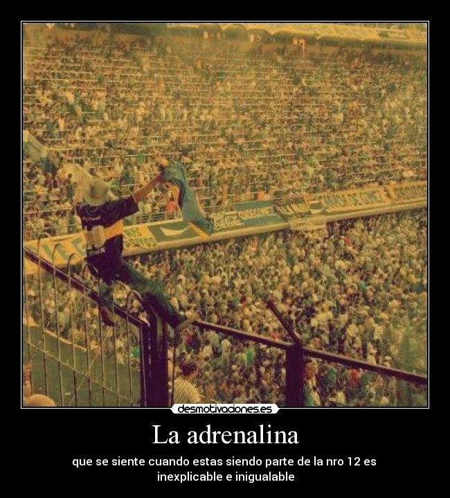 La adrenalina - 
