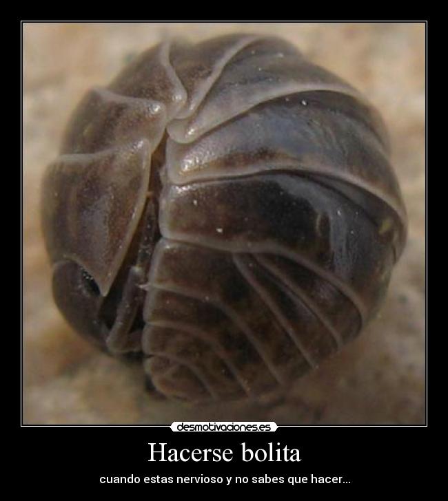 Hacerse bolita -