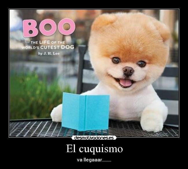 El cuquismo - va llegaaar........