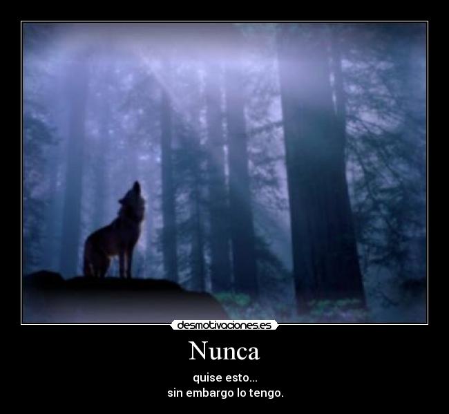 Nunca - 