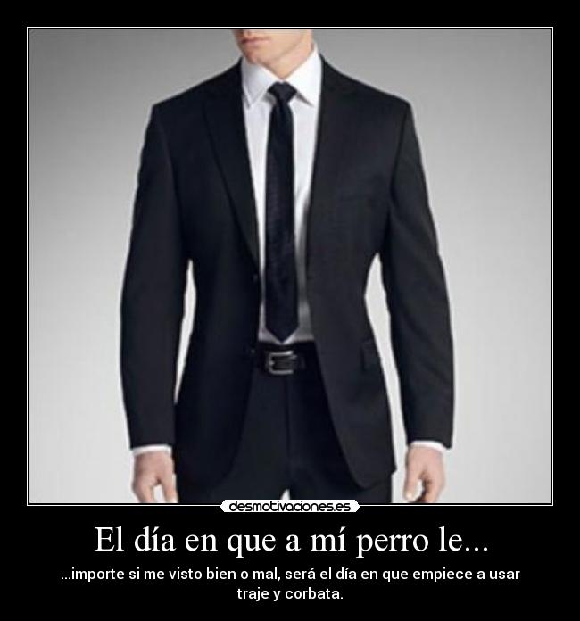 El día en que a mí perro le... - ...importe si me visto bien o mal, será el día en que empiece a usar traje y corbata.
