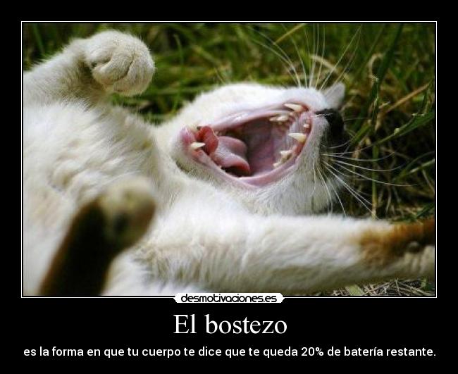 El bostezo - es la forma en que tu cuerpo te dice que te queda 20% de batería restante.