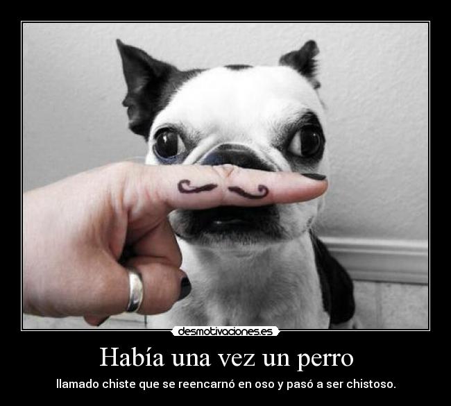 Había una vez un perro - 