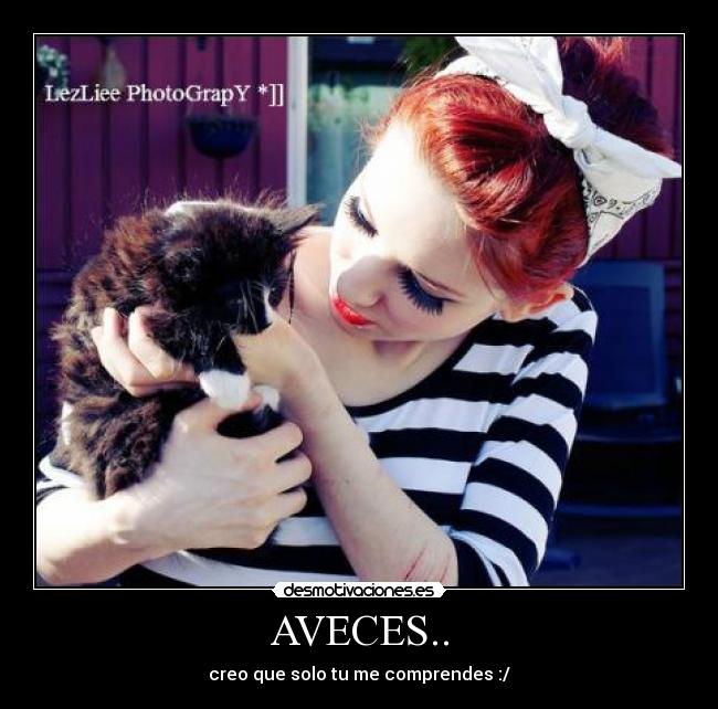 AVECES.. - creo que solo tu me comprendes :/