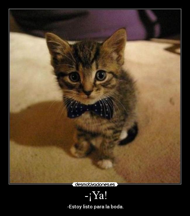 -¡Ya! - -Estoy listo para la boda.