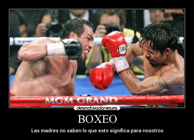 BOXEO -