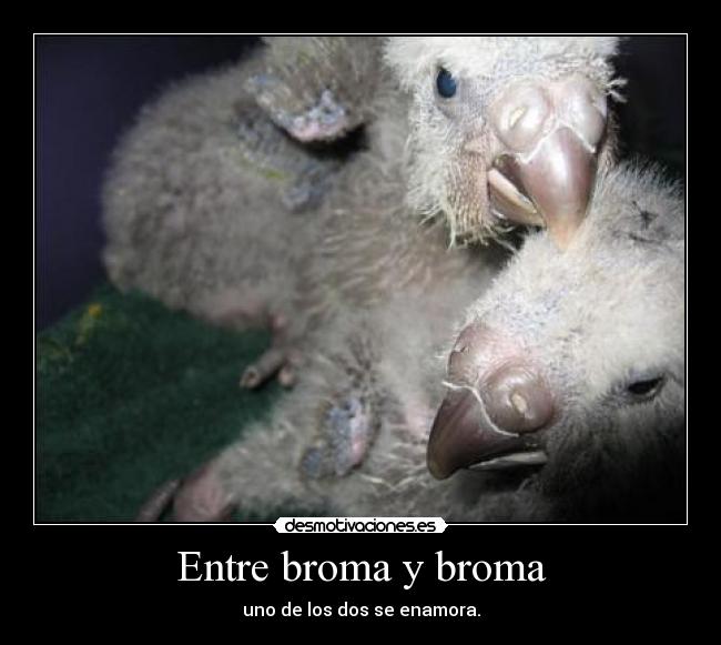 Entre broma y broma -