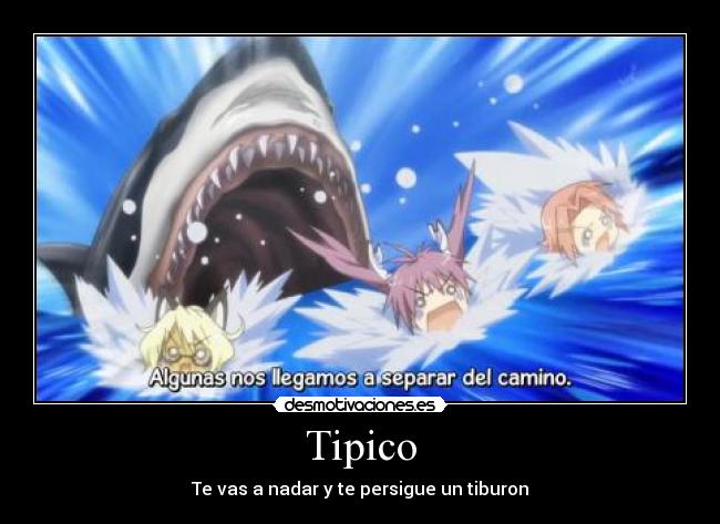 Tipico -