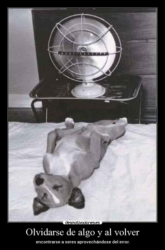 carteles clancetines desmotivaciones