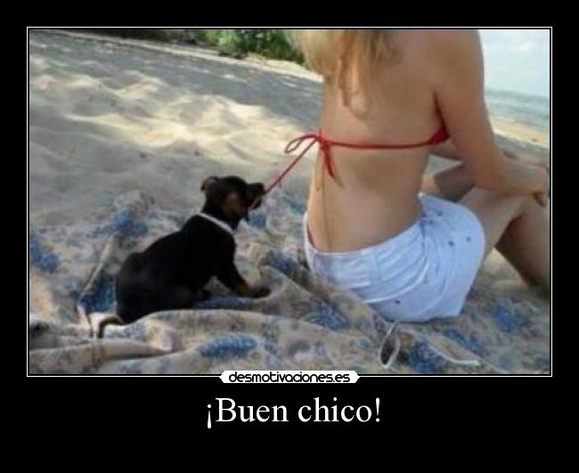 ¡Buen chico! - 