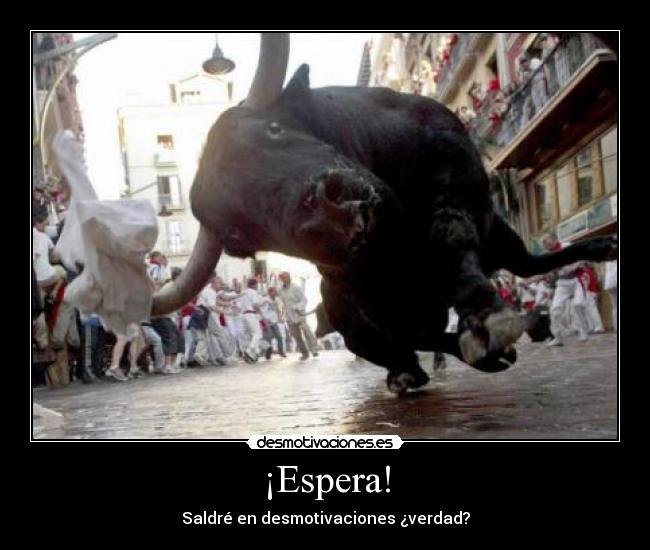 ¡Espera! - Saldré en desmotivaciones ¿verdad?