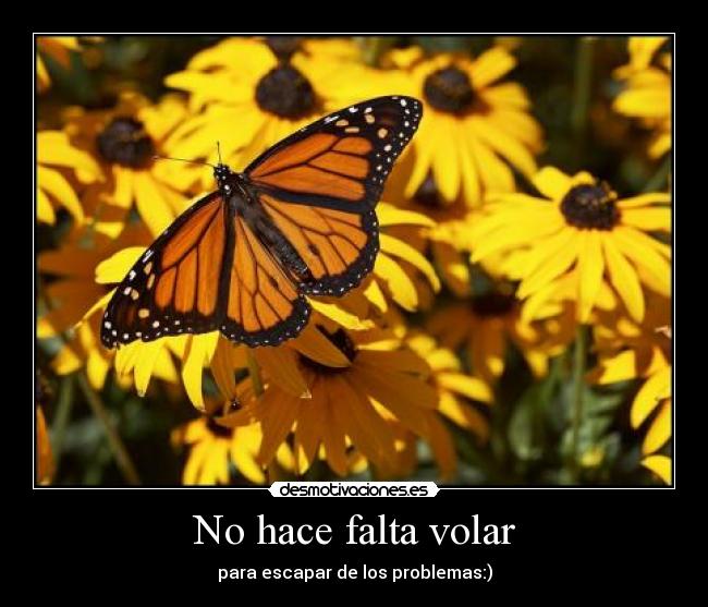 No hace falta volar - para escapar de los problemas:)