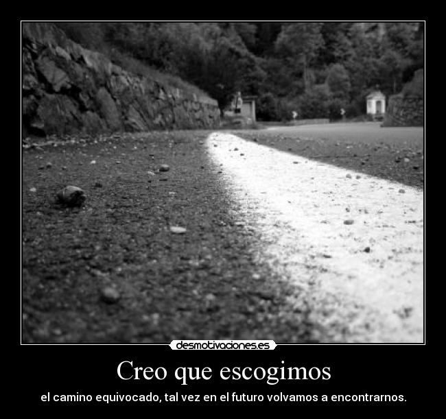 Creo que escogimos - el camino equivocado, tal vez en el futuro volvamos a encontrarnos.
