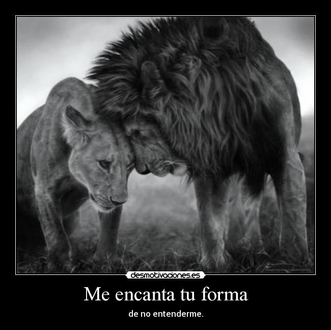 Me encanta tu forma - de no entenderme.