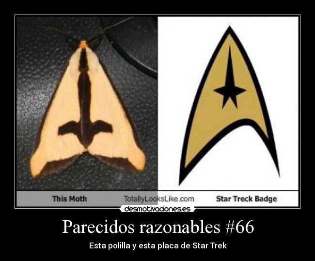 Parecidos razonables #66 -