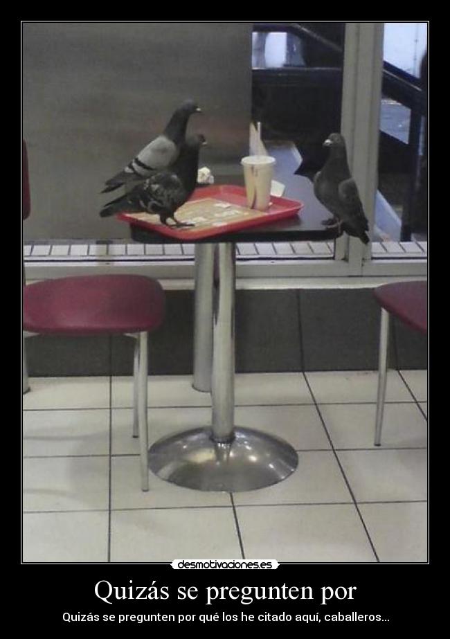 Quizás se pregunten por - Quizás se pregunten por qué los he citado aquí, caballeros...