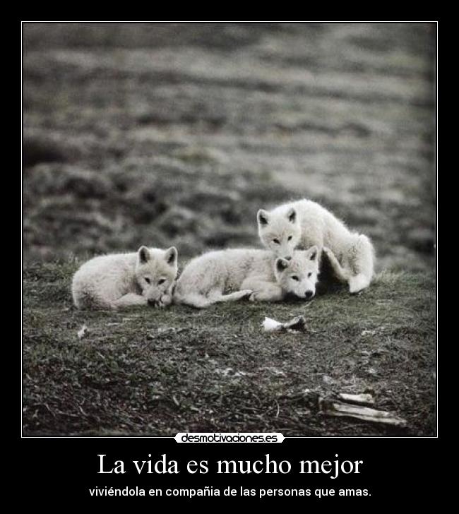 La vida es mucho mejor - viviéndola en compañia de las personas que amas.