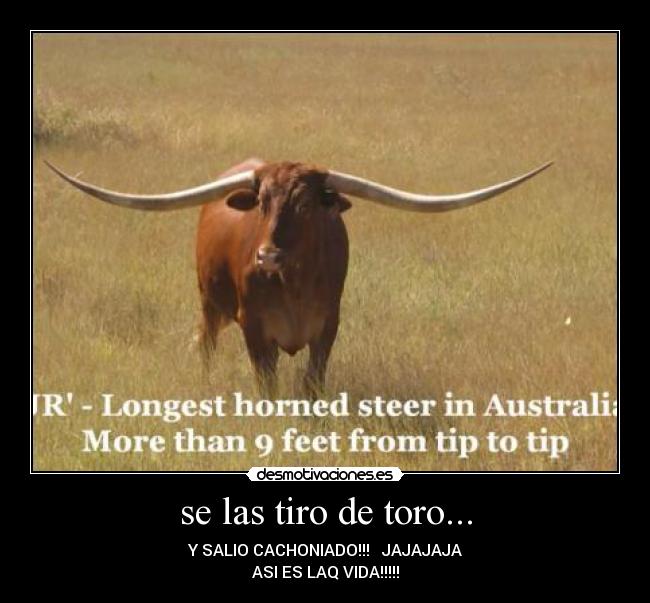 se las tiro de toro... - Y SALIO CACHONIADO!!! JAJAJAJA
ASI ES LAQ VIDA!!!!!