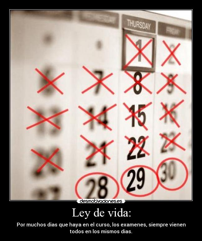 Ley de vida: -