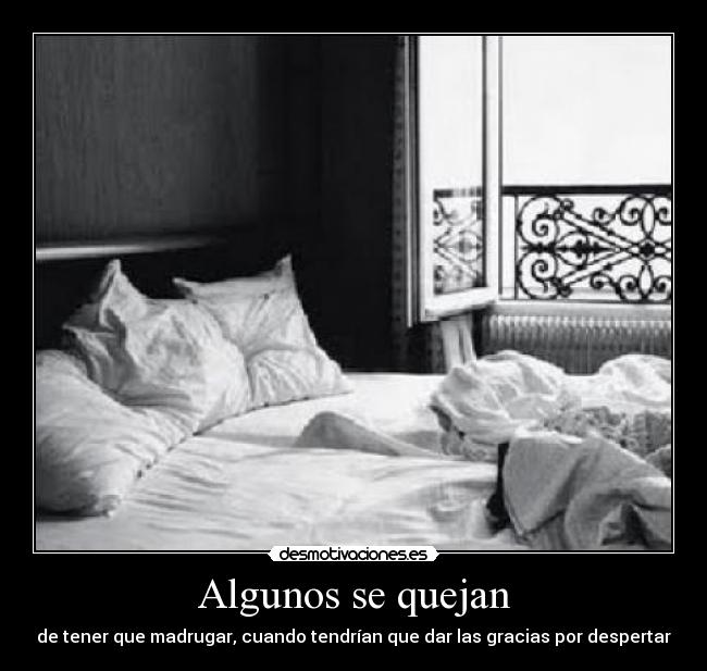 Algunos se quejan - de tener que madrugar, cuando tendrían que dar las gracias por despertar