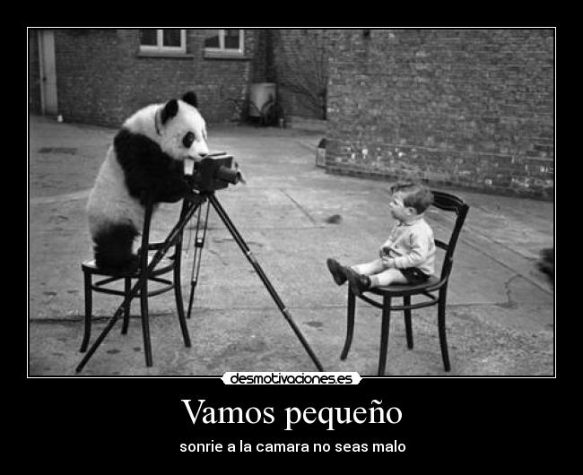 Vamos pequeño - 