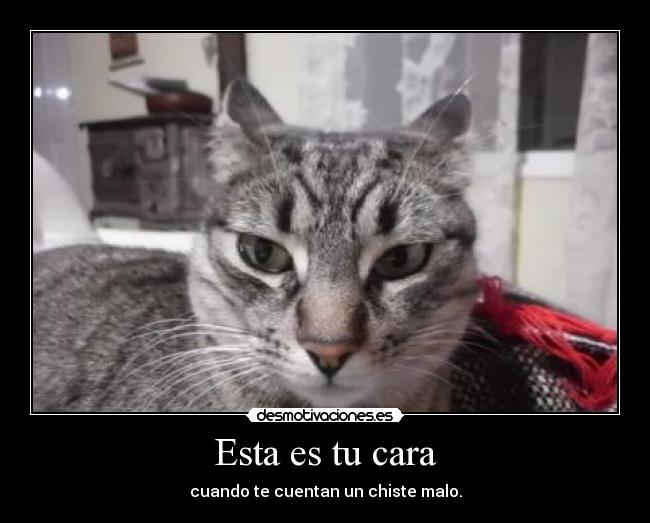 Esta es tu cara -