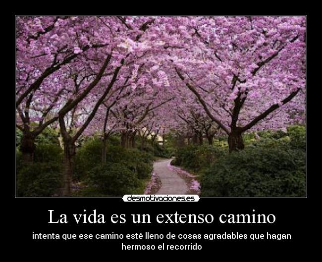 carteles vida camino desmotivaciones