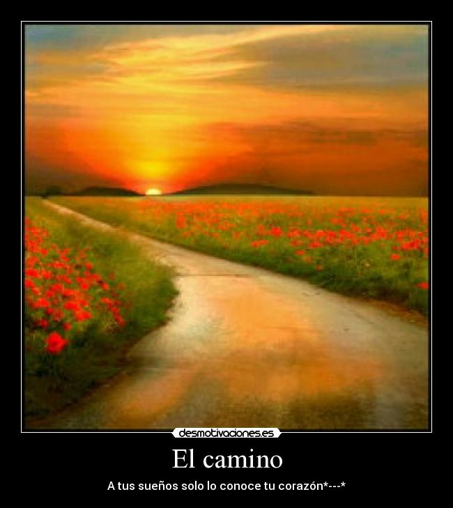 carteles camino desmotivaciones