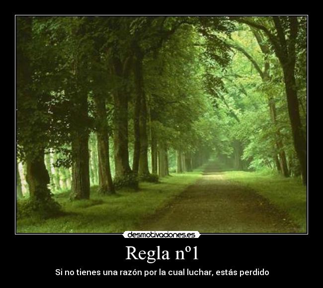 Regla nº1 - 