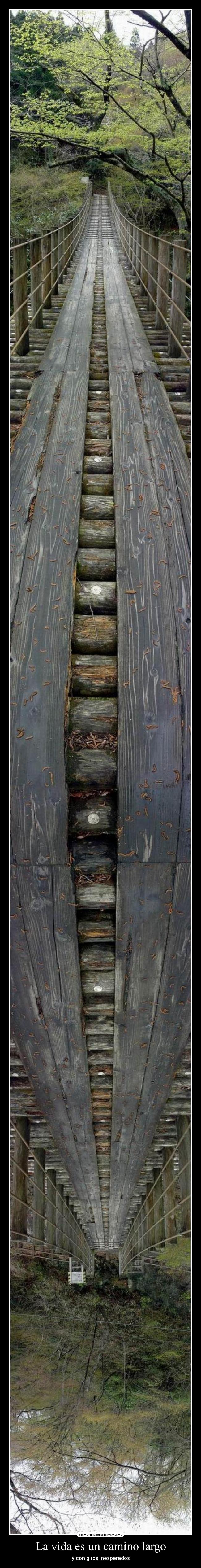 La vida es un camino largo -