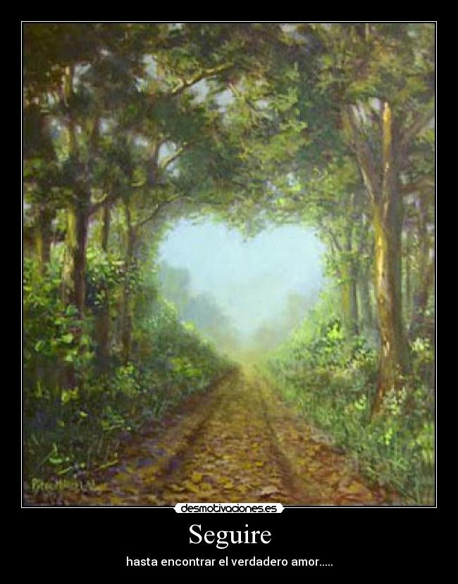 Seguire - hasta encontrar el verdadero amor.....