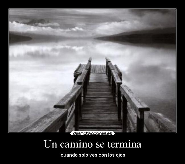 carteles sabiduria desmotivaciones