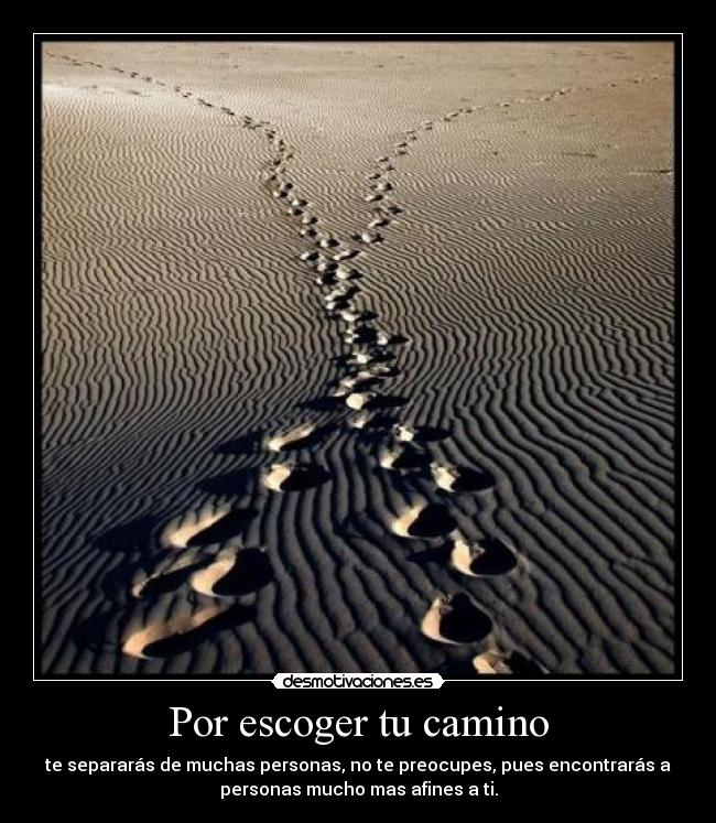 carteles escoger camino desmotivaciones