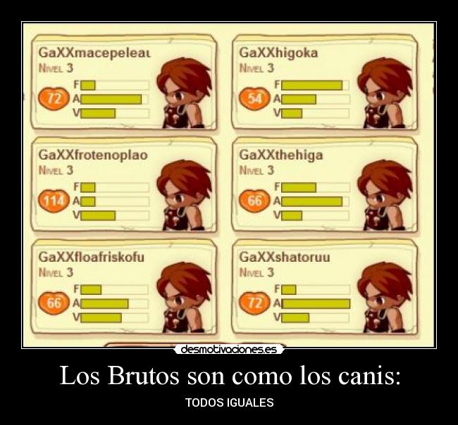 Los Brutos son como los canis: - TODOS IGUALES