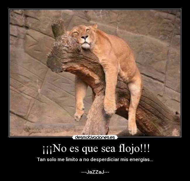 ¡¡¡No es que sea flojo!!! -