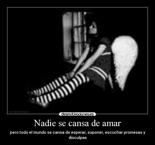 Nadie se cansa de amar -