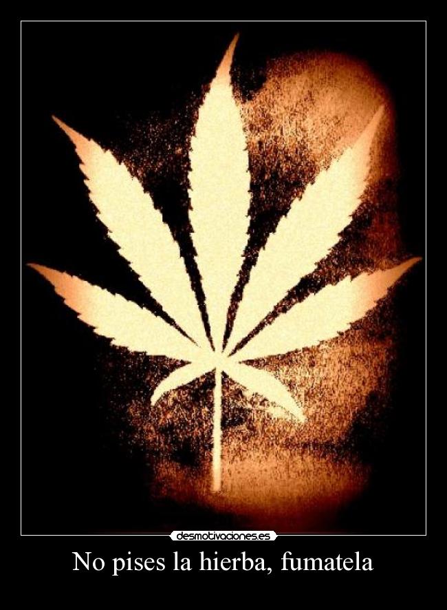 No pises la hierba, fumatela -