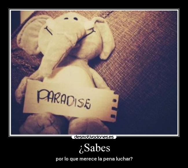 ¿Sabes - 