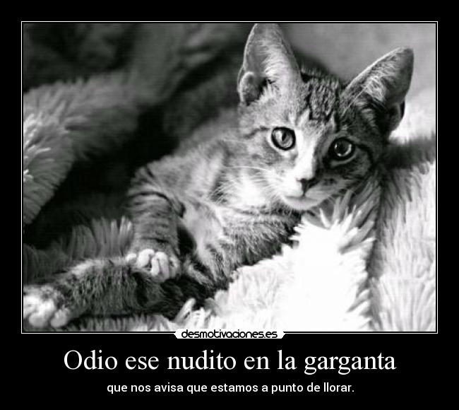 Odio ese nudito en la garganta - que nos avisa que estamos a punto de llorar.